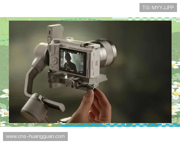 创新阶段摄录系统融合稳定器技术 创新阶段摄录系统融合稳定器技术